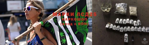 винт Аркадак