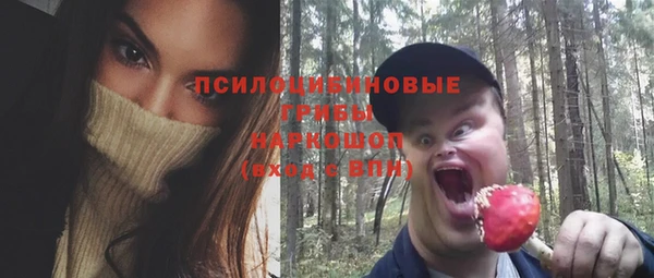 винт Аркадак
