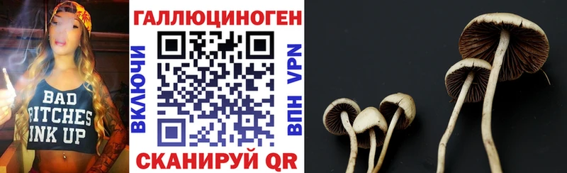 Галлюциногенные грибы Psilocybe  Горнозаводск 